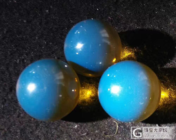 都是多米小家伙 也就才20mm-30mm_蓝珀