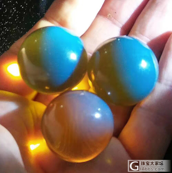 都是多米小家伙 也就才20mm-30mm_蓝珀