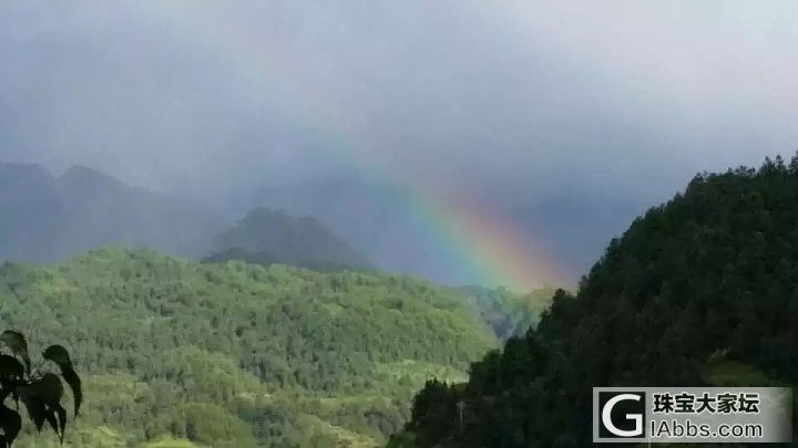 清晨~西江千户苗寨，烟雨朦胧，云雾缭绕，犹如仙境。_景色贵州旅游