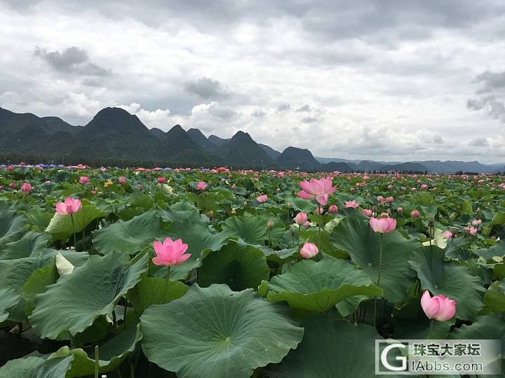 计划昆明市区呆两天，求推荐景点～_昆明旅游