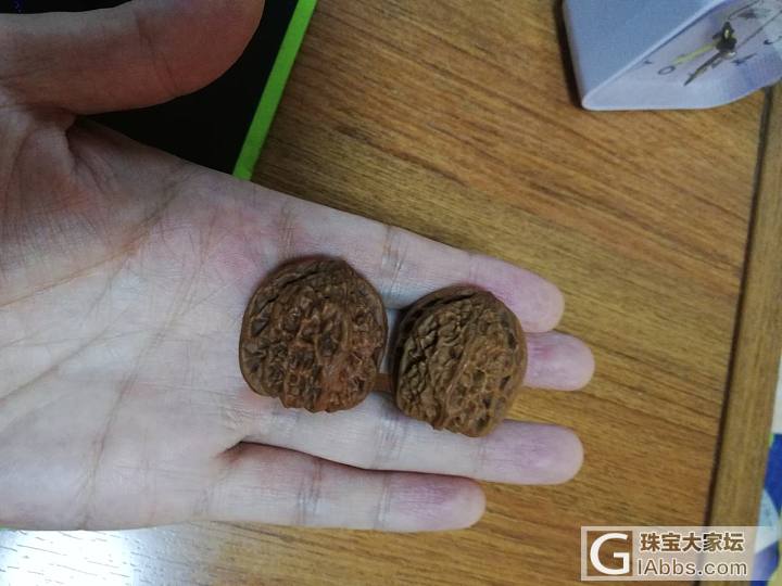 野生小核桃_核桃
