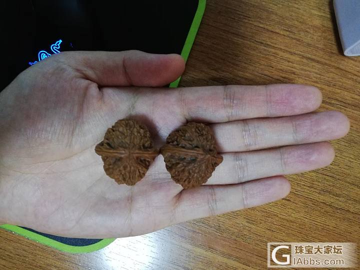 野生小核桃_核桃