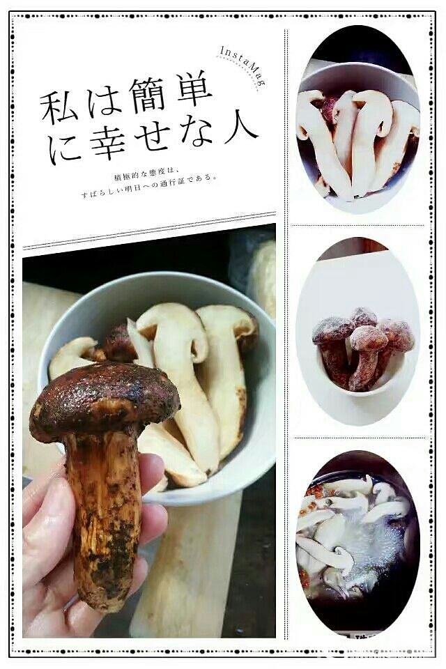 买过松茸的妹子开帮忙一下_食材闲聊