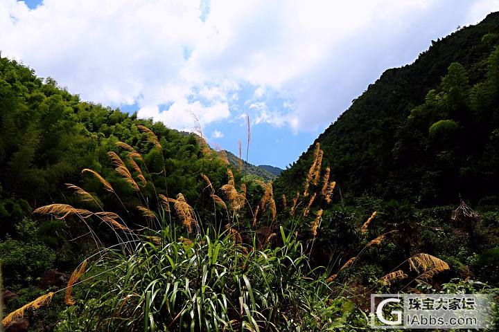 带朋友来清凉一夏。_旅游