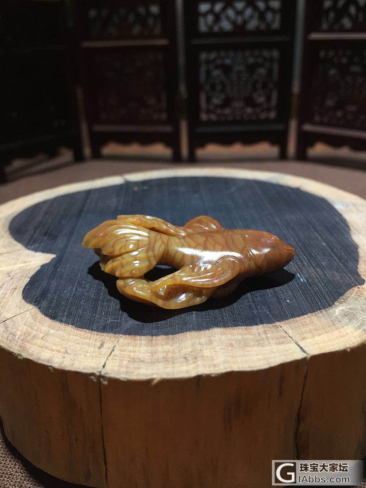 阿拉善玉 虎皮斗鱼_挂饰玉髓玛瑙