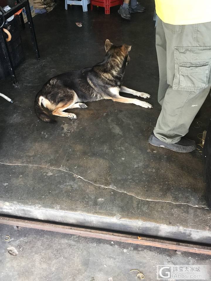 榴莲_水果美食