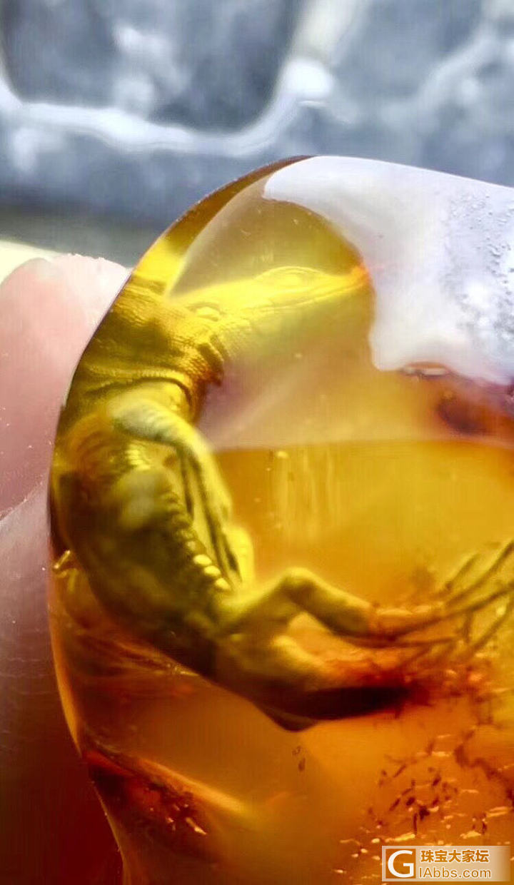 蜥蜴琥珀…大家来看看！_虫珀琥珀蜜蜡