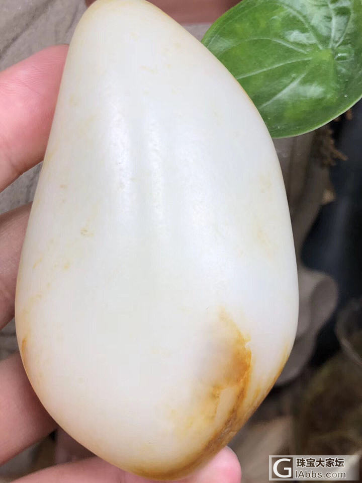 288克，一级白，背后两个浅皮，可以把玩，可以雕刻，密度肉眼不见结构！_原石和田玉