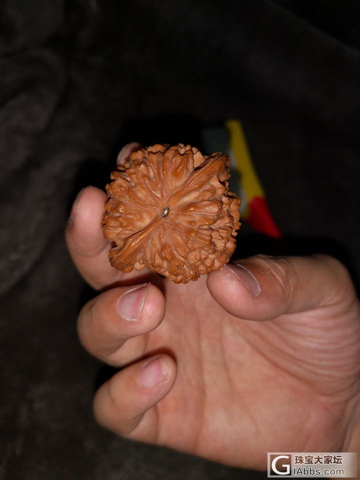 喂！我可是要开始认真刷你们了！_核桃文玩