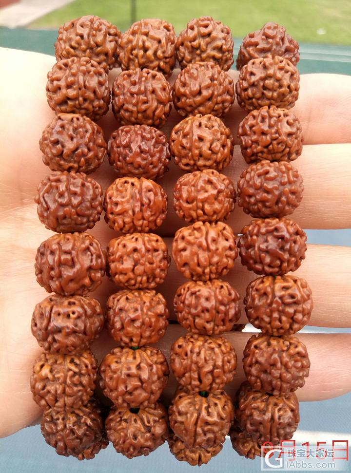 一串小金刚菩提的蜕变_珠串菩提子