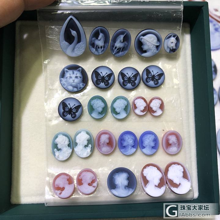 Cameo意大利贝雕、珠宝界的新宠！美出天际_贝壳
