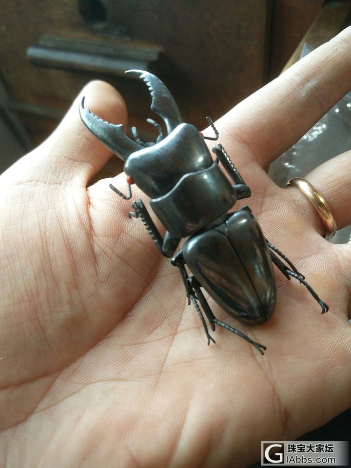 手工制作银自在置物——中华大扁锹甲虫_金工