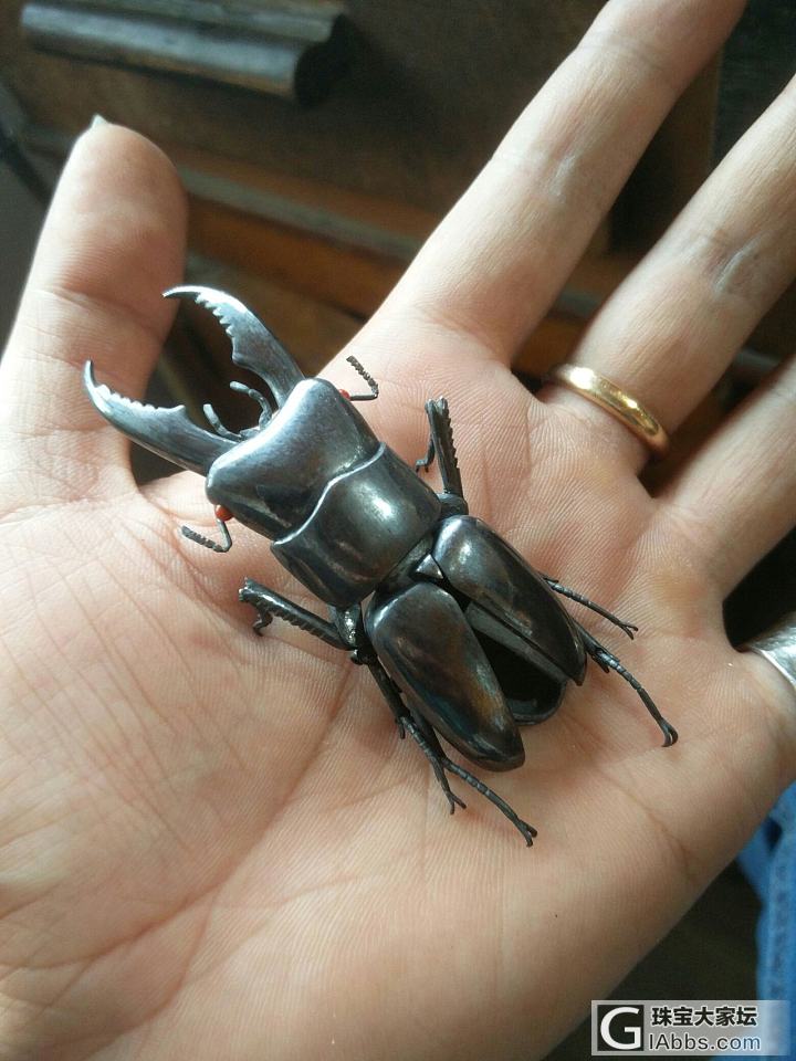 手工制作银自在置物——中华大扁锹甲虫_金工