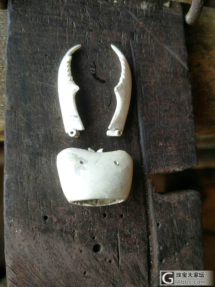 手工制作银自在置物——中华大扁锹甲虫_金工