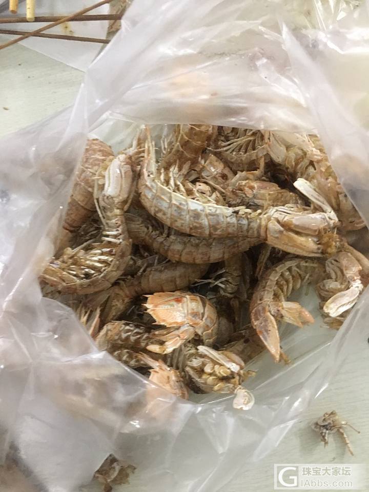 重庆去北海吃海鲜_美食