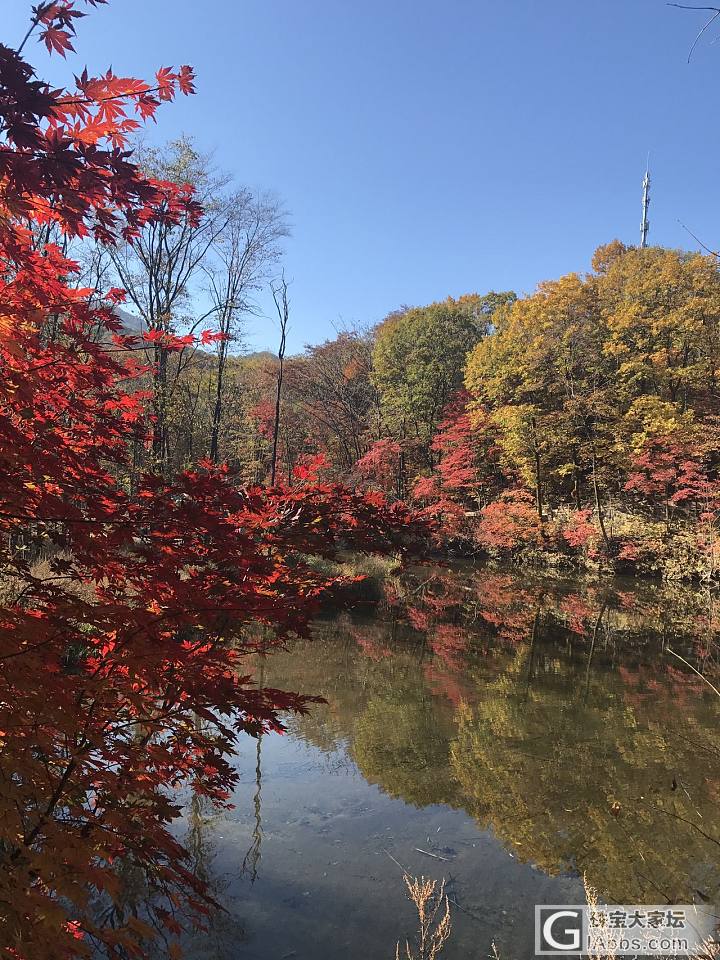 霜叶红于二月花_景色旅游