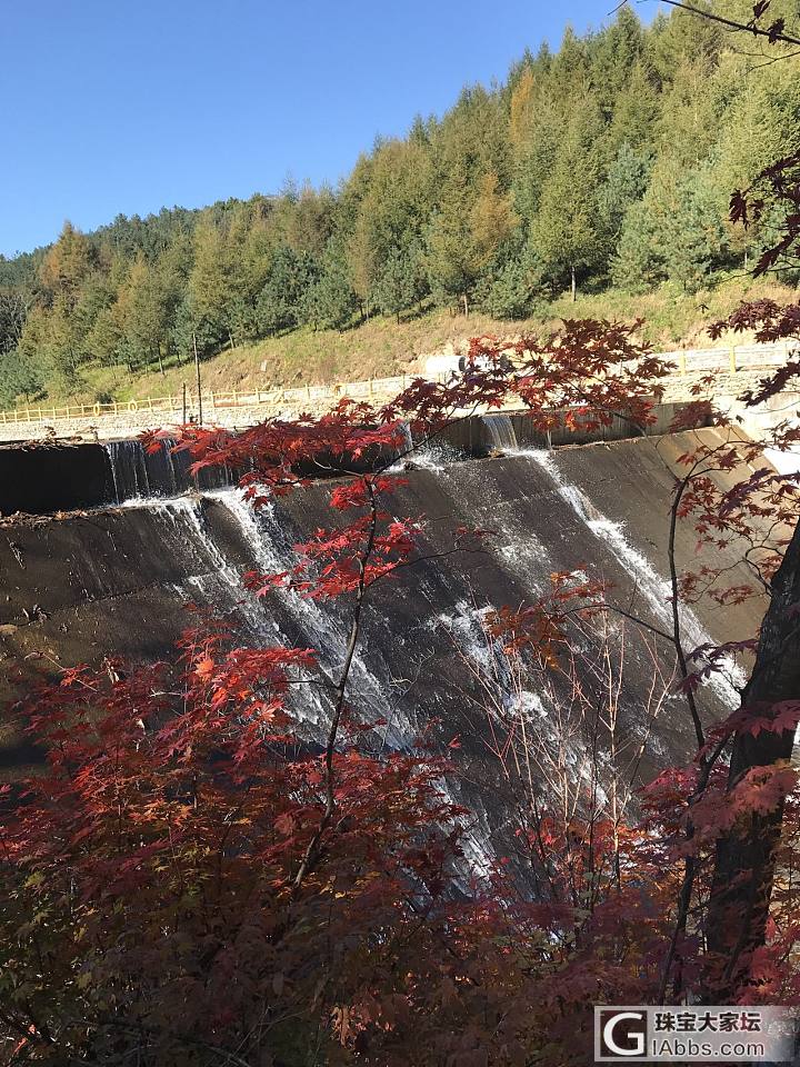 霜叶红于二月花_景色旅游