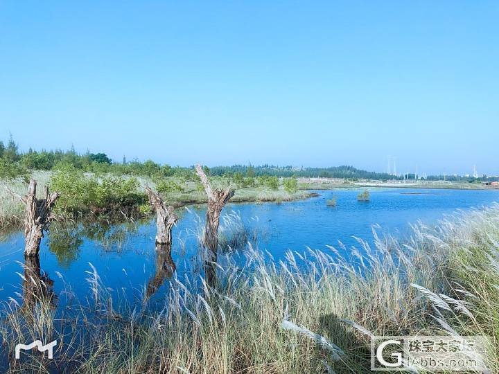 咱家海边的小路上_景色闲聊