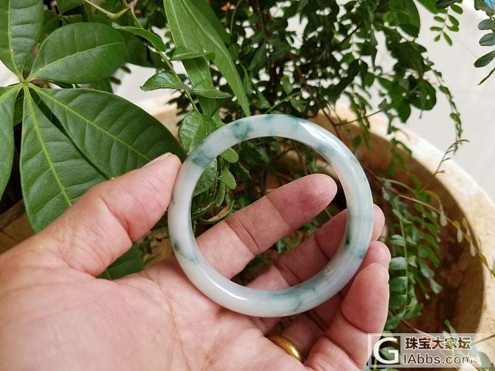 出手镯，晒个图……_手镯翡翠