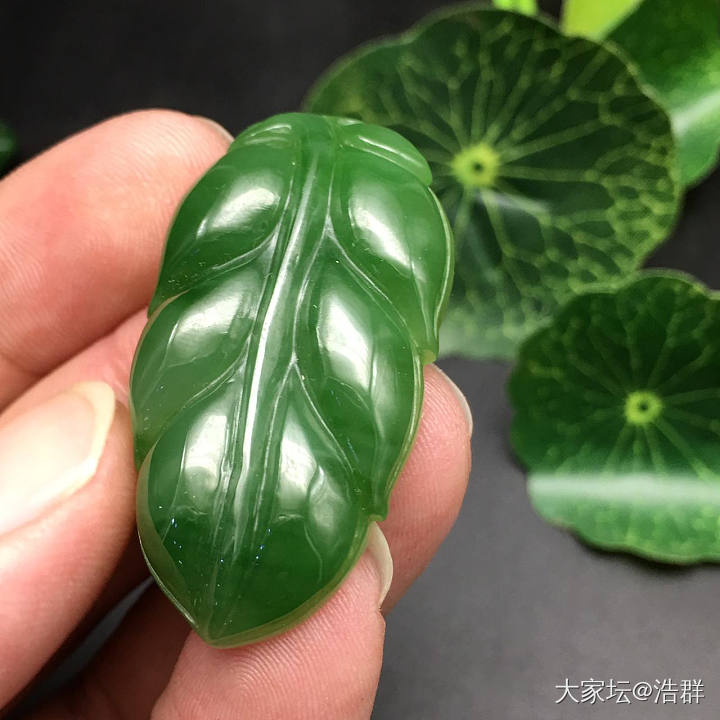 金枝玉叶_翡翠首饰和田玉