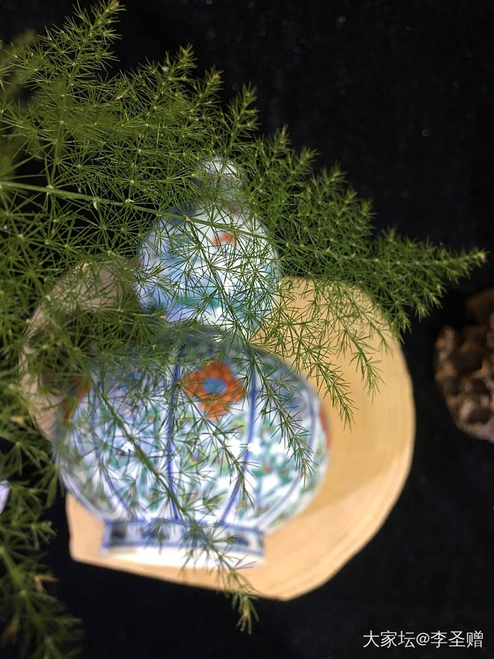 斗彩看雍正_陶瓷