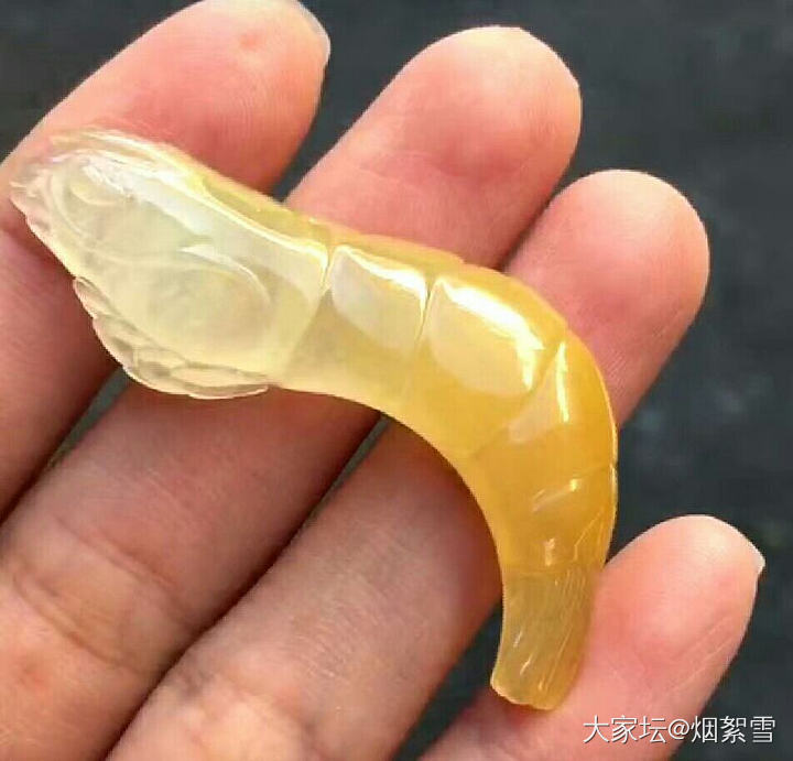 皮皮虾，你火了，皮皮虾，我们走~_把玩件翡翠