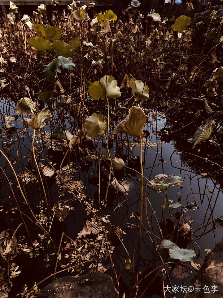 为上初中水一贴，秋游拙政园....._江苏旅游