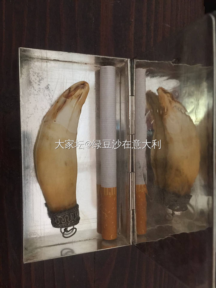 秀下我的老牙。喵喵_牙骨角