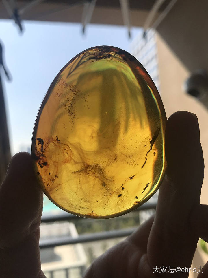 墨西哥蓝珀风景珀。😁_挂件琥珀