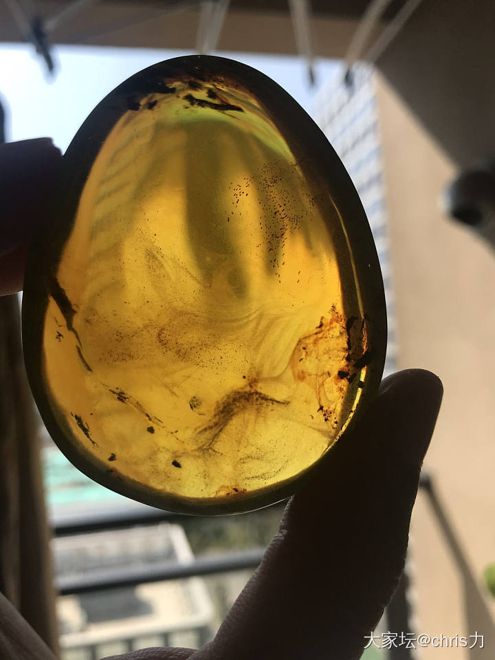 墨西哥蓝珀风景珀。😁_挂件琥珀