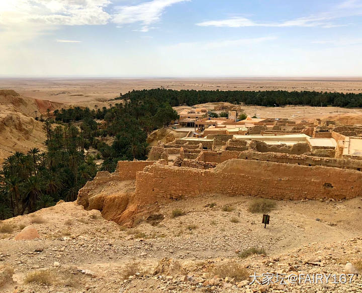 突尼斯-沙漠绿洲_景色非洲旅游