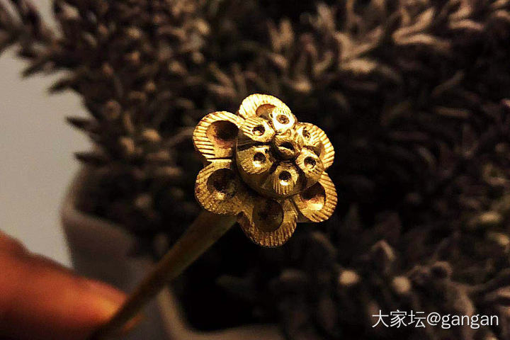 今天收获的老金银_老金