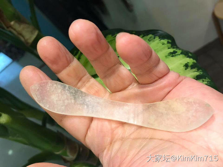 两支清代的玉簪，不知买哪支好，纠结中⋯⋯_古玩