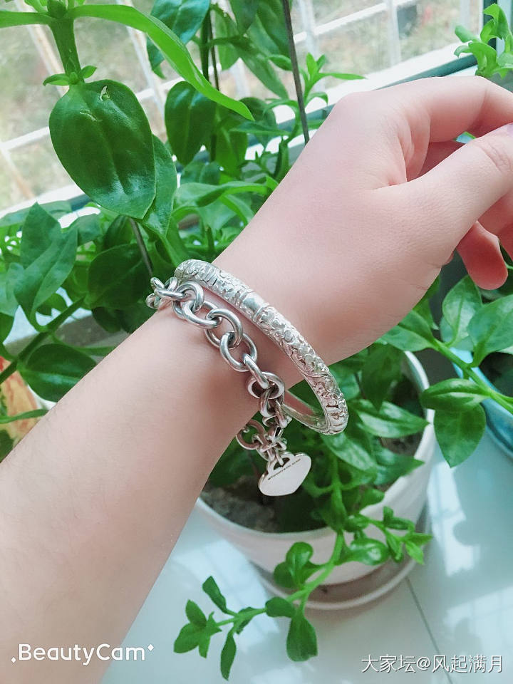 木芙蓉与Tiffany_手饰蒂芙尼银