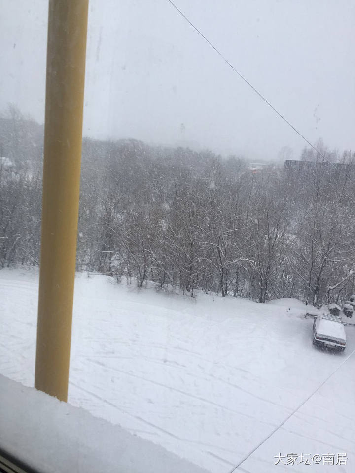 没有疯的雪，下的好滋润，_闲聊