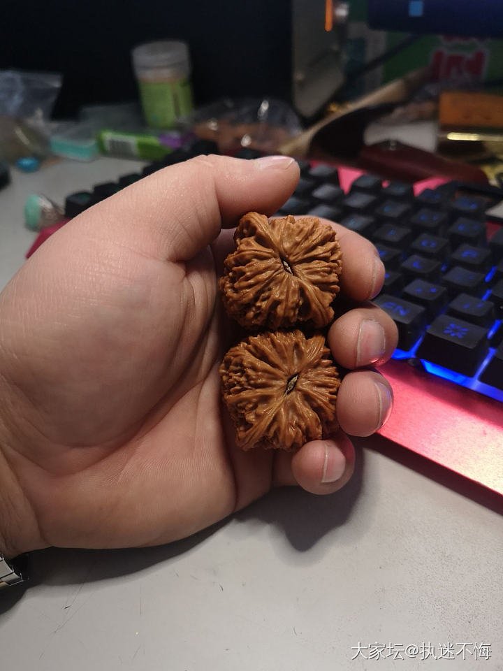 今天的左右手_手饰菩提子核桃松石