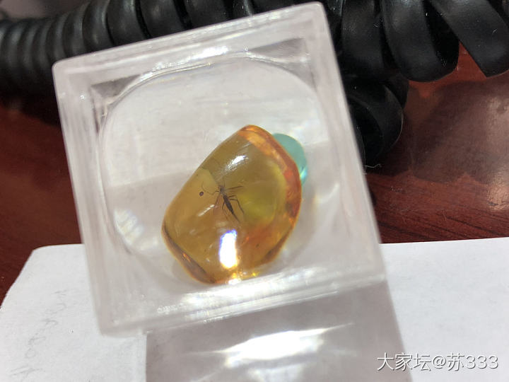 迷你小虫珀·_虫珀琥珀