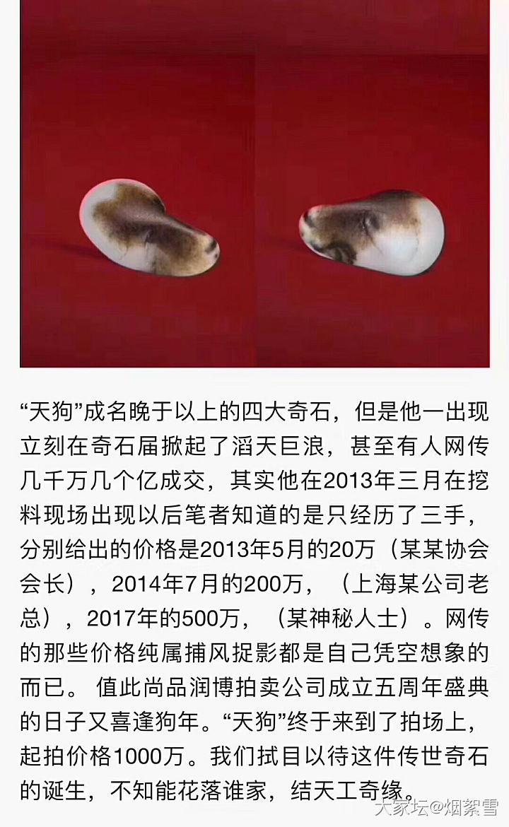 天价狗，今晚我的朋友圈好多发这个_和田玉