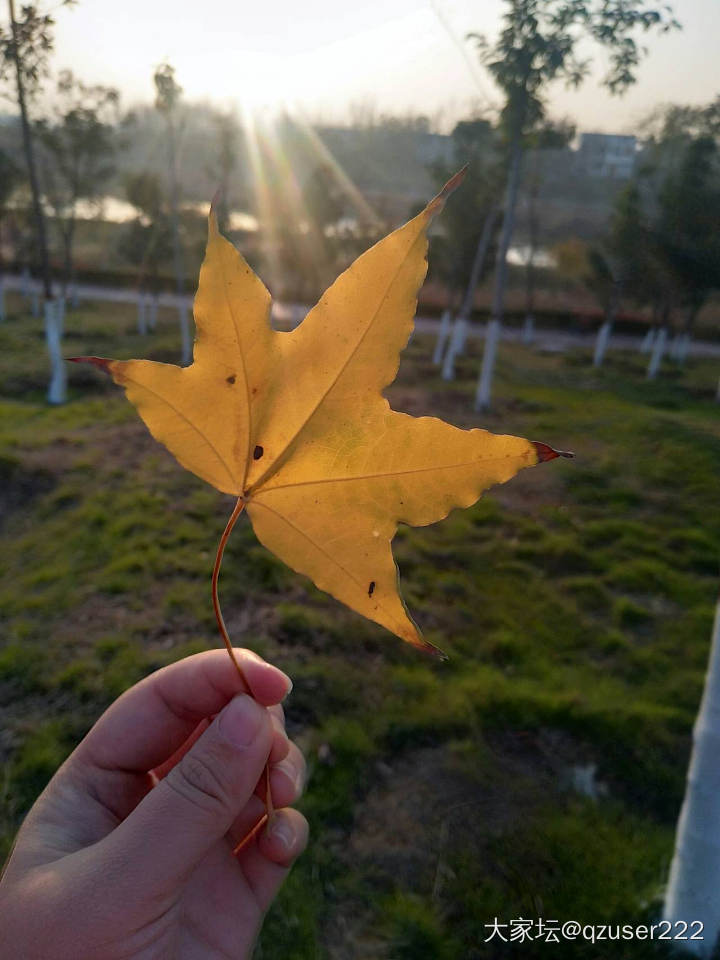 人生，总会有不期而遇的温暖，和生生不息的希望。_景色