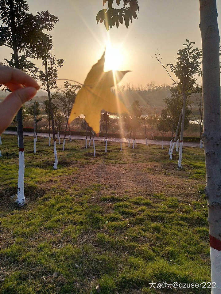 人生，总会有不期而遇的温暖，和生生不息的希望。_景色