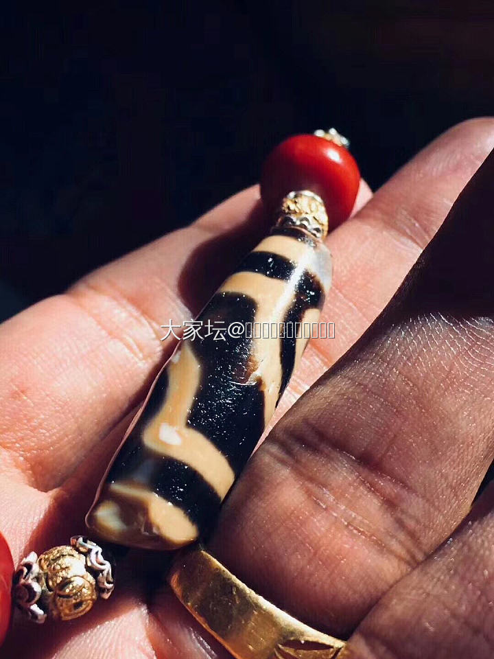 至纯……珊瑚_天珠