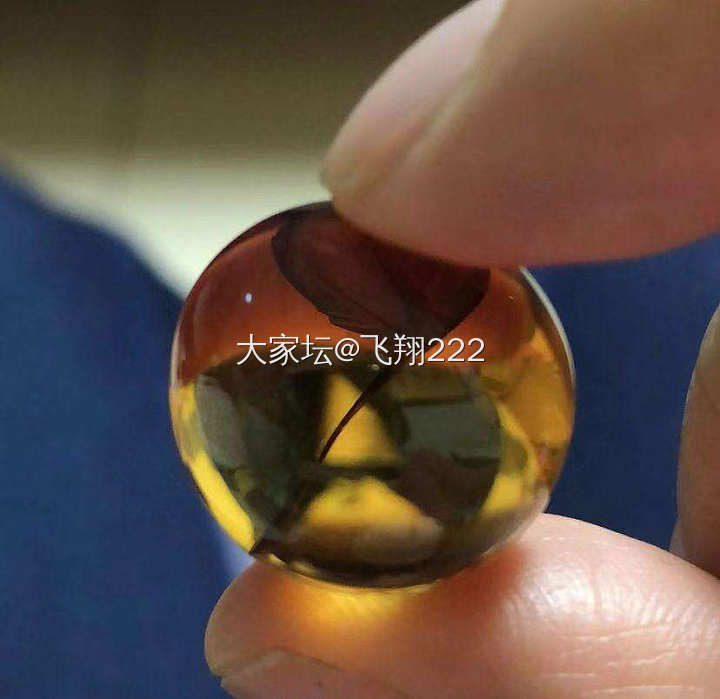 新入手的缅甸琥珀_琥珀