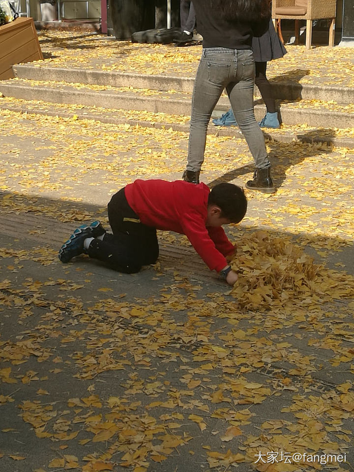 银杏季节_旅游