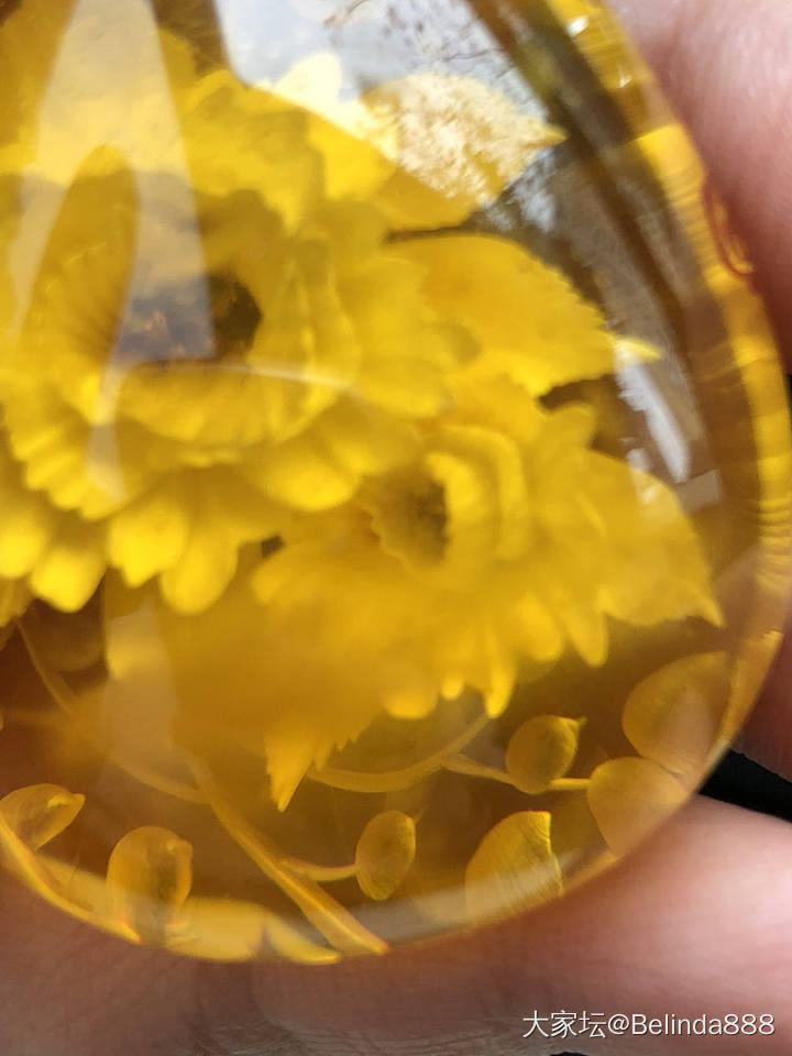 大师阴雕作业_琥珀挂件