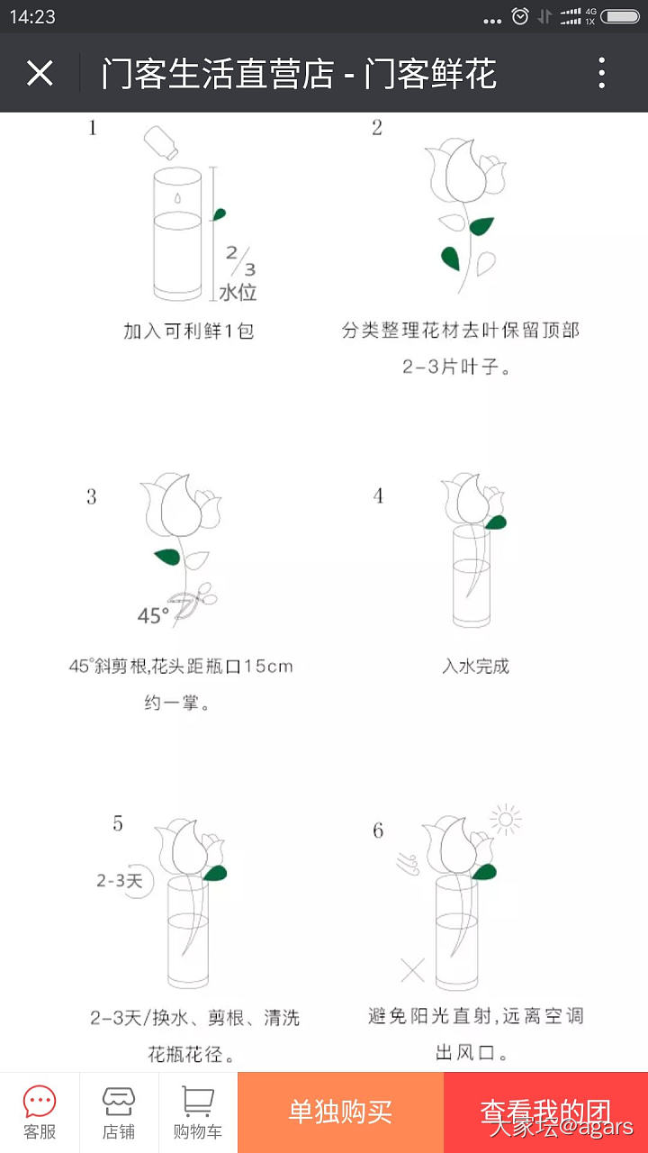 门客9.9元鲜花求拼团_花