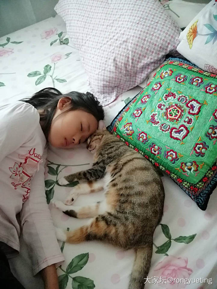 孩子和毛孩子的和谐相处_猫育教亲子