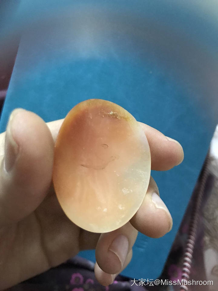 咨询_贝壳挂件