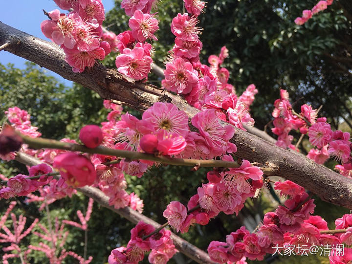 广州现在什么温度？穿什么合适。。。_广州