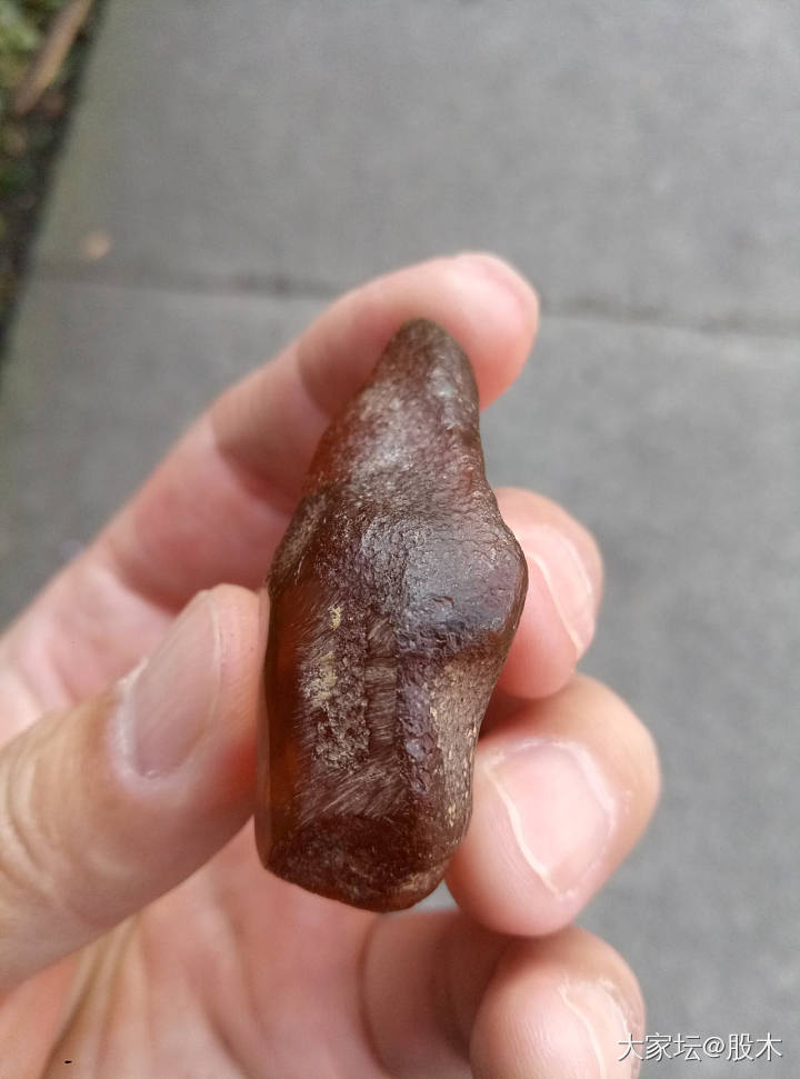 墨西哥城周日市场随手买的_原石琥珀