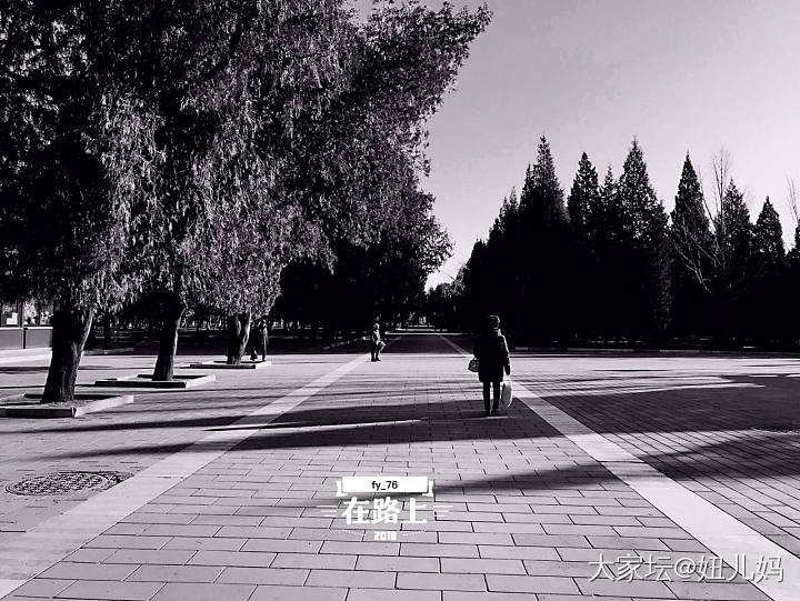 溜溜哒哒 黑白间的光影北京_北京旅游